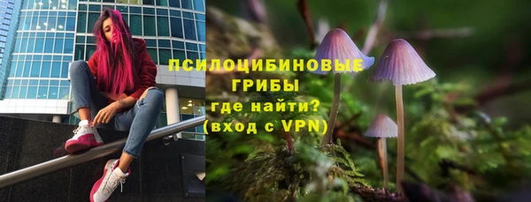 ПСИЛОЦИБИНОВЫЕ ГРИБЫ Богданович