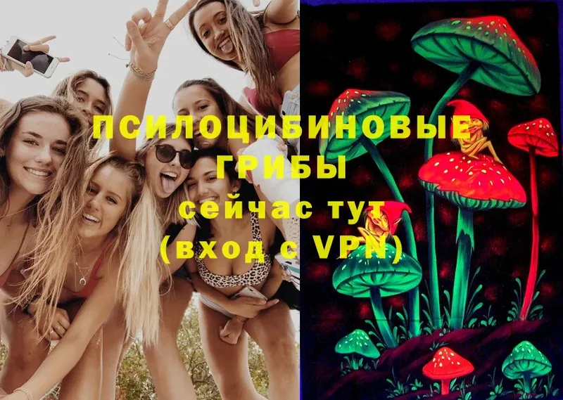 Галлюциногенные грибы Magic Shrooms  Пыталово 